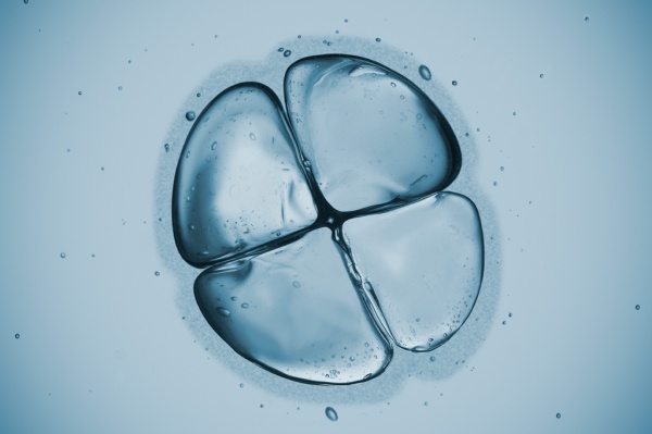 Que son las pajuelas Cuantos embriones se ponen en cada una